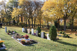 Grabreihen auf Wiese vor Herbstbäumen